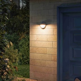 Philips - Applique da esterno a LED CAPRICORN LED/4,3W/230V IP44