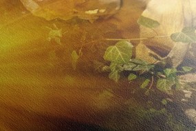 Stampa su tela – Angelo con raggi di sole