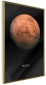 Poster  The Solar System: Mars  Cornice Quadri Cornice d'oro, Larghezza x Altezza Home decor 30x45