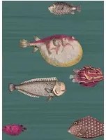 Fornasetti Tapete Acquario von Cole and Son - Viridian