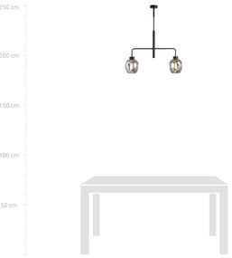 Lampadario Moderno 2 Luci Auriga In Accaio Nero E Vetro Fumè