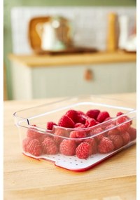 Organizer da frigo in plastica Cauma - Rotho