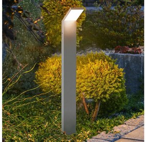 Brilagi - Lampada da esterno RIANO LED/8W/230V argento IP65 80 cm
