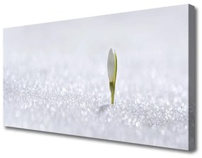 Stampa quadro su tela Bucaneve Neve Inverno 100x50 cm