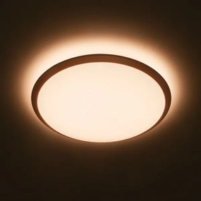 Philips 32809/31/P0 - Plafoniera LED dimmerabile CANAVAL LED/18W/230V