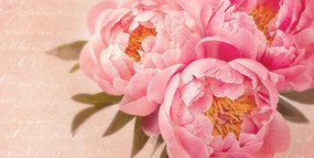 Stampa su tela – Peonia delicata