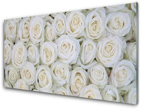 Quadro su vetro Rose Fiori Pianta 100x50 cm