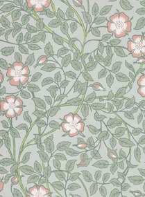 Little Greene Carta da parati Briar Rose - Salix