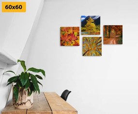 Set di quadri – Natura autunnale in colori splendidi