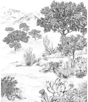 Isidore Leroy Carta da parati panoramica Succulentes Grisaille - Panel A