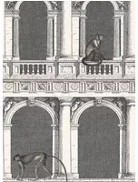 Cole & Son Carta da parati Procuratie e Scimmie - Black and White