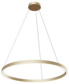 Lampadario A Sospensione Moderno Rim Alluminio Ottone 1 Led 51W