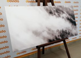 Stampa su tela – Foresta nebbiosa in bianco e nero
