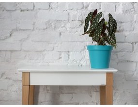 Consolle bianca, larghezza 65 cm Mimo - Ragaba