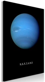 Quadro Neptune (1 Part) Vertical