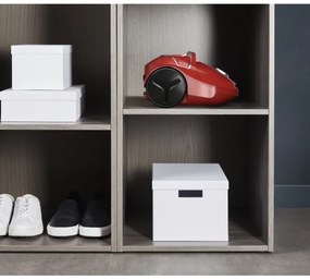 Rowenta - Aspirapolvere a sacchetto COMPACT POWER 750W/230V rosso