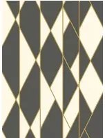 Cole & Son Carta da parati Oblique - Black/ White