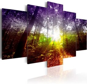 Quadro Foresta iridata  Colore Marrone, Dimensioni e Misure 200x100