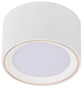 Nordlux - Faretto LED dimmerabile FALLON LED/5,5W/230V bianco