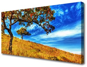 Quadro su tela Prato, albero, natura, pianta 100x50 cm