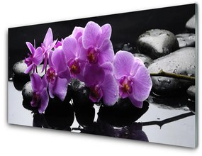Quadro in vetro acrilico Pianta di pietre di fiori 100x50 cm