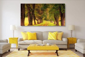 Quadro su tela – Sentiero nella foresta autunnale