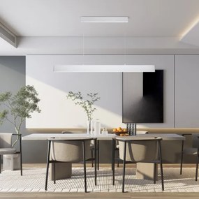 Brilagi - Lampadario a sospensione con filo LED dimmerabile SLIMLINE LED/40W/230V 3000-6000K bianco + +TC