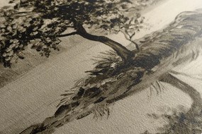 Stampa su tela – Ciliegio orientale in versione seppia