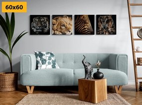 Set di quadri – Animali selvatici