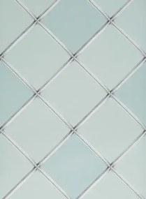 Osborne & Little Carta da parati Palm House Trellis - Eau De Nil