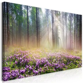 Quadro Purple Meadow (1 Part) Wide