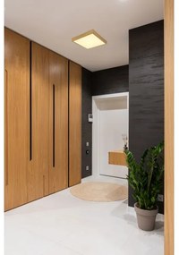 Globo 12382-22 - Plafoniera LED TIBEY LED/22W/230V 35x35 cm