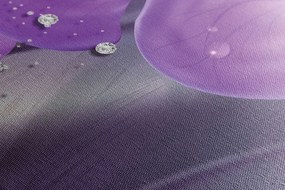 Quadro su tela – Orchidea presso colonne greche