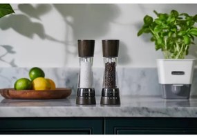 Cole&amp;Mason - Set di macina sale e pepe DERWENT 2 pz 19 cm faggio/nero