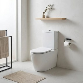WC monoblocco Barby, sedile escluso P66.5 x L36 x H83.5 cm bianco, compresi cassetta e batteria interna.