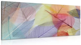 Stampa su tela – Venature su foglie colorate