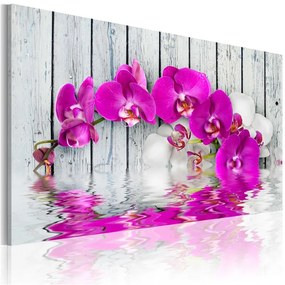 Quadro armonia orchidea