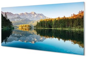 Pannello paraschizzi cucina Foresta del lago delle montagne della Germania 100x50 cm