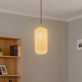 Argon Lampada a sospensione Kaja con paralume lungo in vetro opalino