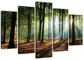 Quadri Quadro 5 pezzi Stampa su tela Foresta Verde Natura