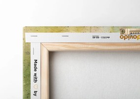 Quadro su tela – Disegno acquerellato di piante di montagna