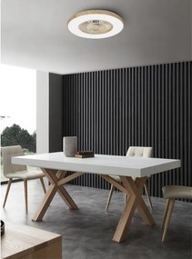 Ventilatore da soffitto Woody pale trasparenti, struttura effetto legno ø 60 cm silenzioso
