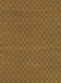 Nobilis Carta da parati Java - MAP94