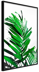 Poster  Emerald Palm  Cornice Quadri Cornice nera, Larghezza x Altezza Home decor 40x60