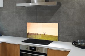 Rivestimento parete cucina Un branco di cervi di campo all'alba 100x50 cm