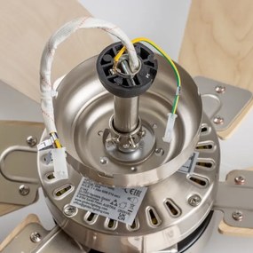 ZEVENTI - Ventilatore da soffitto FAMARA 1xE14/60W/230V beige