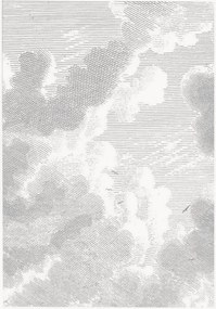 Carta da parati in tessuto non tessuto Engraved Clouds