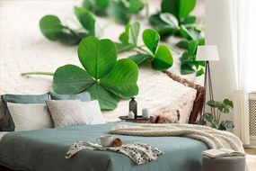 Carta da parati – Quadrifogli verdi