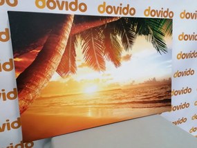 Quadro su tela – Alba sulla spiaggia caraibica