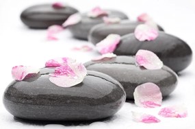 Carta da parati – Pietre del benessere con petali
